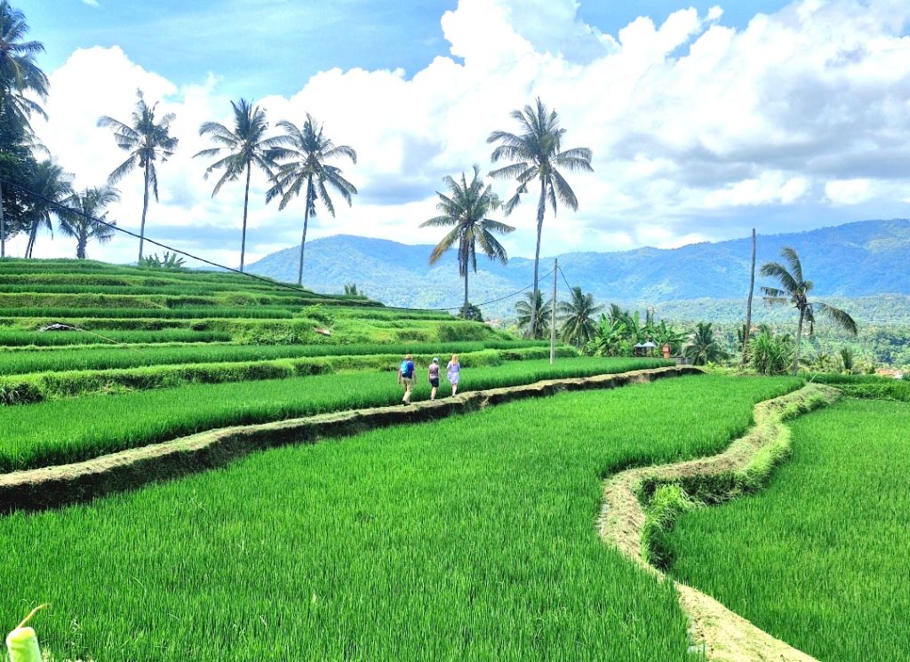 Mayong Cultural Walk